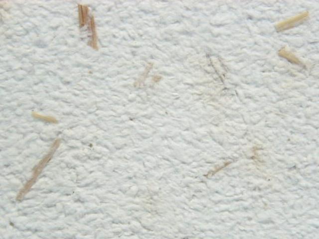 2 Feld kurz